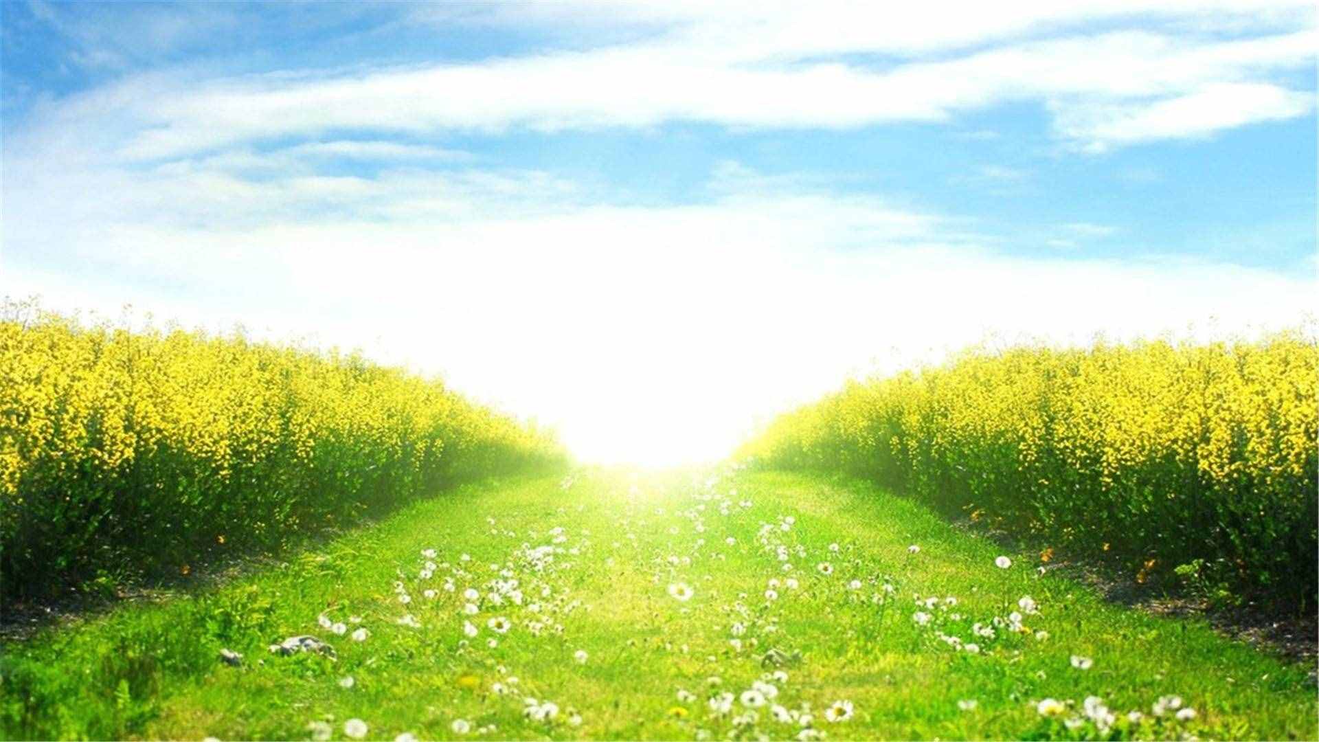 82张护眼电脑桌面壁纸,超多超全,唯美漂亮