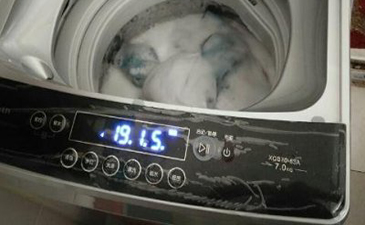 洗衣机系统故障-洗衣机程序故障是什么原因
