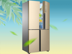 常见的冰箱除臭剂种类有哪些